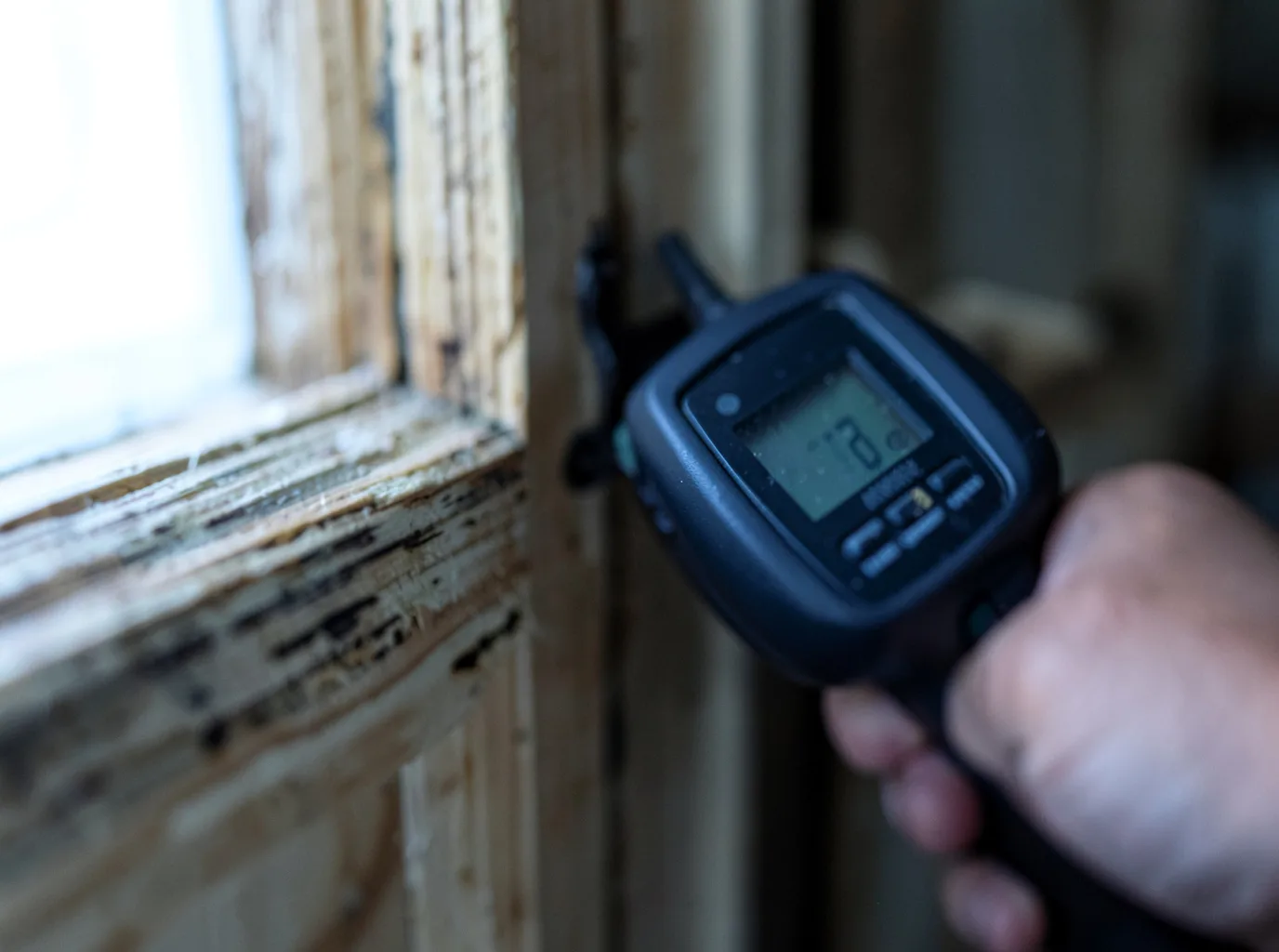 Moisture Inspection And Documentation in Cottekill, NY
